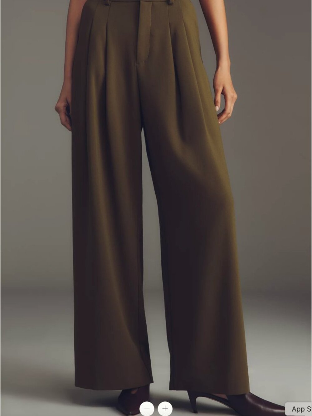 Anthropologie NWT Avery Wide-Leg Pleated Trousers by Maeve - S - Picture 4 of 11
